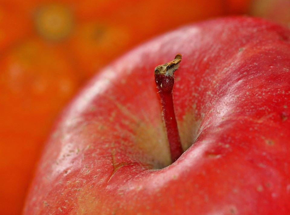 Apple Cranberry Cobbler Recipe