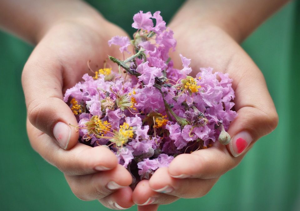The Incredible Benefits of Gardening for Children