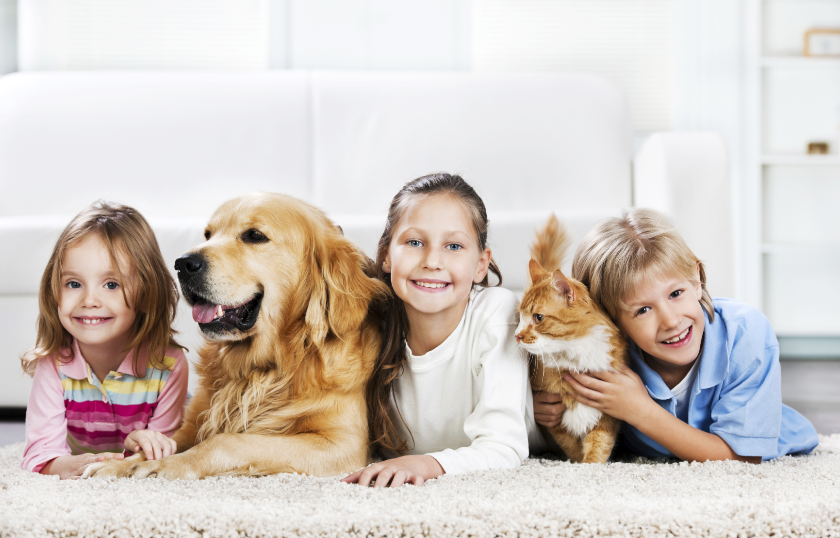 When you Have Kids and Pets, You Will Need Carpet Cleaning