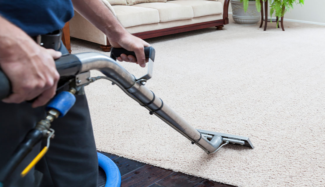 When you Have Kids and Pets, You Will Need Carpet Cleaning - Expressive Mom