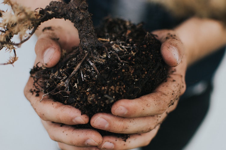 Compost With Your Kids – Here’s How They’ll Benefit!