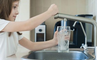 Most Important Facts About Water Purifiers