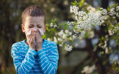 How To Keep Your Child Safe During Allergy Season