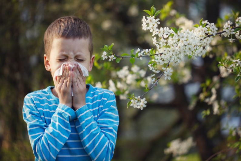 How To Keep Your Child Safe During Allergy Season