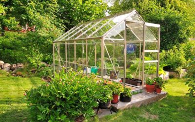 What To Know Before Starting Your First Greenhouse