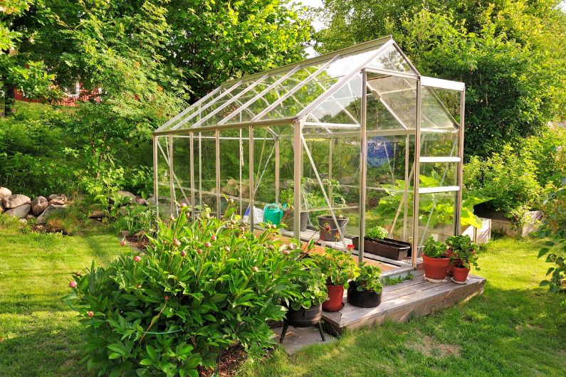 What To Know Before Starting Your First Greenhouse