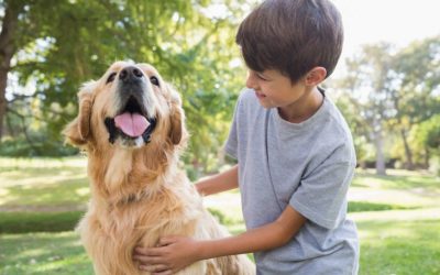 Tips for Helping Your Kids Interact Well With the Family Dog