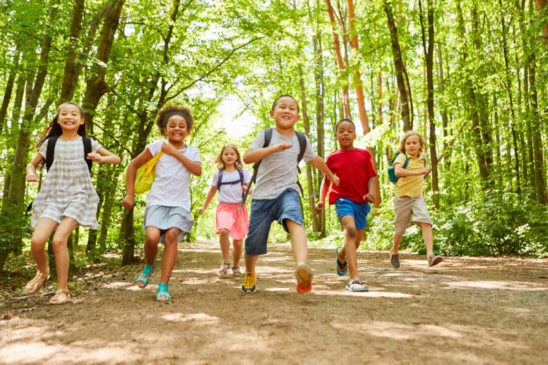 Healthy Summer Activities To Give Your Child Structure