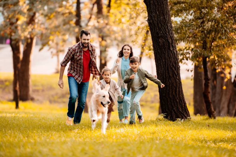 Outside a mother, father, son, and daughter have fun running after their happy golden retriever in a game of chase.