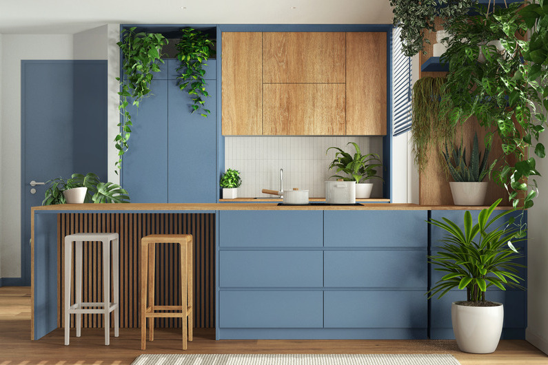 A residential kitchen with wood panels, blue paint, two bar stools and green plants as a decorative features.