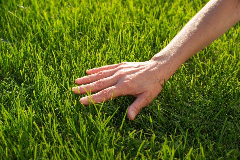 The Benefits of Mixing Artificial Turf With Real Grass