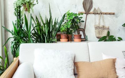 5 Sustainable Home Goods for Eco-Friendly Living