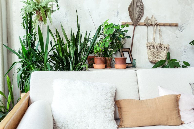 A corner of a living room with a white couch in front of several tall potted plants and a table with smaller plants.