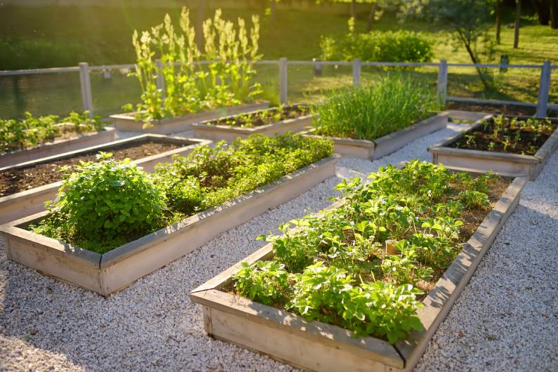 Top 5 Sustainable Garden Features to Invest In